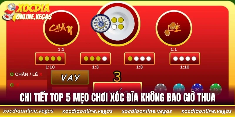 Top 5 Mẹo Chơi Xóc Đĩa Không Bao Giờ Thua Dành Cho Người Mới 3 Chi tiết top 5 mẹo chơi xóc đĩa không bao giờ thua
