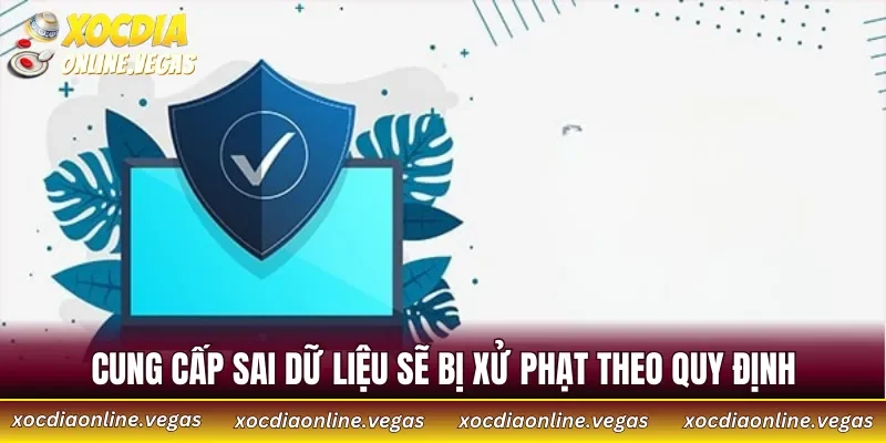 Chính Sách Bảo Mật 4 Cung cấp sai dữ liệu sẽ bị xử phạt theo quy định