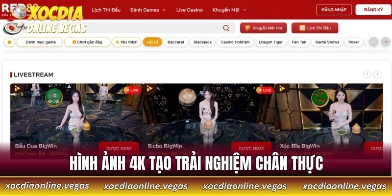 RED88 - Cổng Cá Cược Trực Tuyến Đỉnh Cao Cho Dân Châu Á 3 Hình ảnh 4K tạo trải nghiệm chân thực