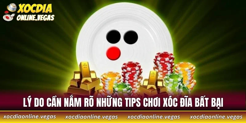 Top 5 Mẹo Chơi Xóc Đĩa Không Bao Giờ Thua Dành Cho Người Mới 2 Lý do cần nắm rõ những tips chơi xóc đĩa bất bại