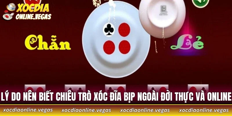 Xóc Đĩa Bịp Ngoài Đời Thực Và Online - 4 Dấu Hiệu Cần Né Gấp 2 Lý do nên biết chiêu trò xóc đĩa bịp ngoài đời thực và online