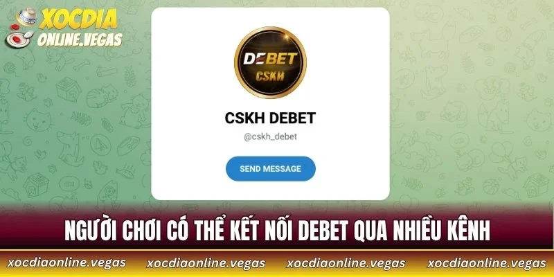 DEBET - Sân Chơi Kiến Tạo Chuẩn Mực Cá Cược Trực Tuyến 4 Người chơi có thể kết nối DEBET qua nhiều kênh