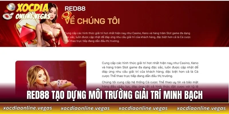 RED88 - Cổng Cá Cược Trực Tuyến Đỉnh Cao Cho Dân Châu Á 2 RED88 tạo dựng môi trường giải trí minh bạch