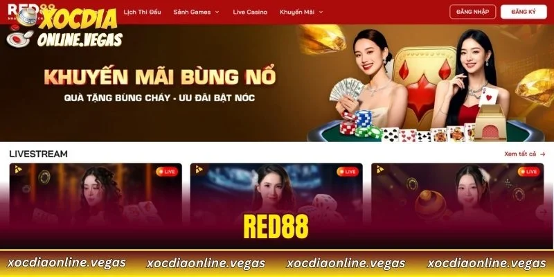 RED88 - Cổng Cá Cược Trực Tuyến Đỉnh Cao Cho Dân Châu Á 1 RED88