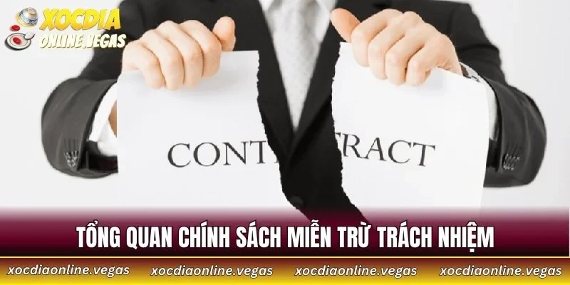 Miễn Trừ Trách Nhiệm 1 Tổng quan chính sách miễn trừ trách nhiệm